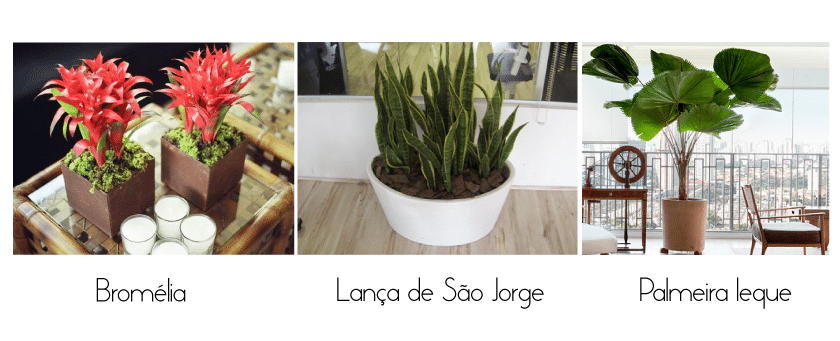 plantas1a3